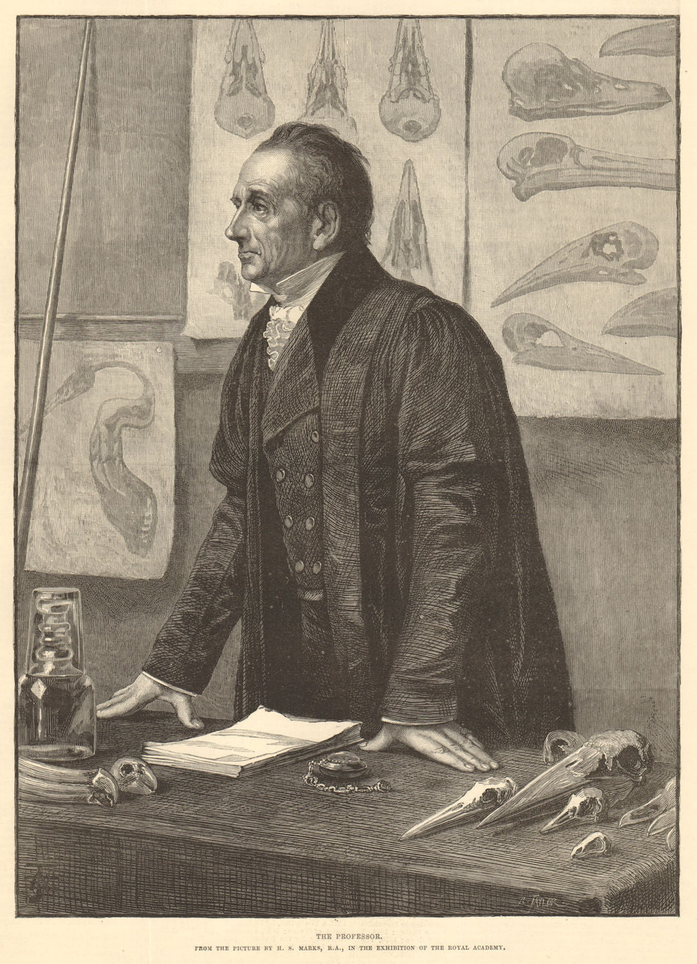 The professor, by H. S. Marks, R. A. Academics. Education 1883 old print